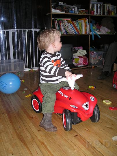 Imme 17 februari 2008 (8).JPG